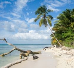 plage paradisiaque saona république dominicaine