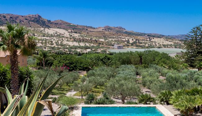 Piscine avec vue sur les oliviers en italie