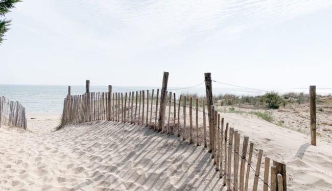 coin de paradis à l'île de ré