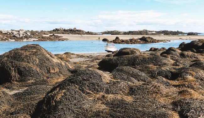 Comment aller de Granville à Chausey ?