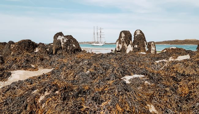 Un week-end normand en bord de mer