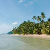 Organisation de voyage aux Philippines