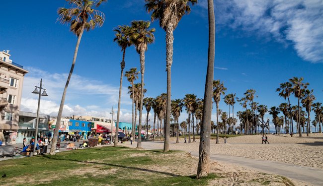 plage bohème venice beach