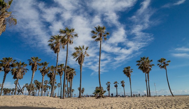 plage immanquable venice beach los angeles