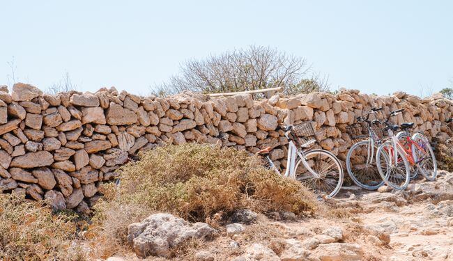 Location de vélo à Favignana