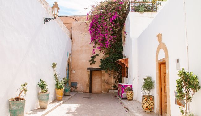 Bougainvilliers dans les ruelles de la Kasbah des Oudayas à Rabat