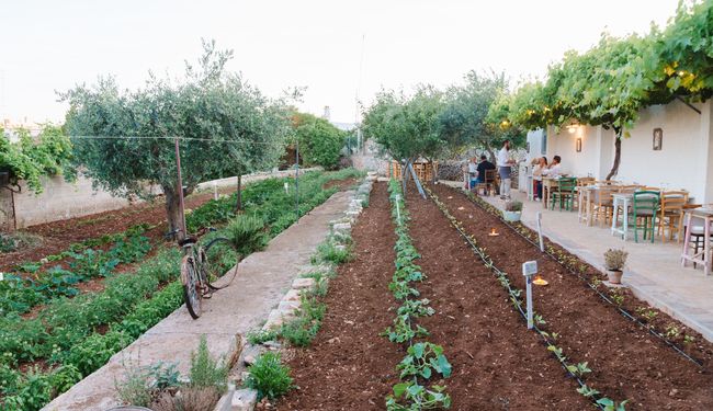 Restaurant Terra Madre au milieu d’un potager à Alberobello